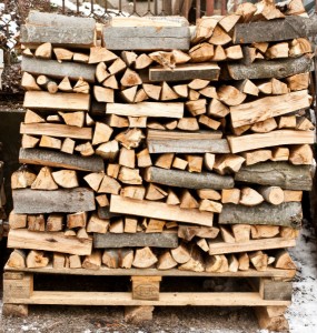 Properly Stored Firewood - New Haven CT Fairfield CT - Total Chimney Care LLC