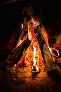 Burn the right firewood this season - Milford CT - Total Chimney Care
