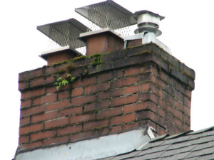 Chimney Cap on Old Masonry Chimney - New Haven CT Fairfield CT - Total Chimney Care LLC