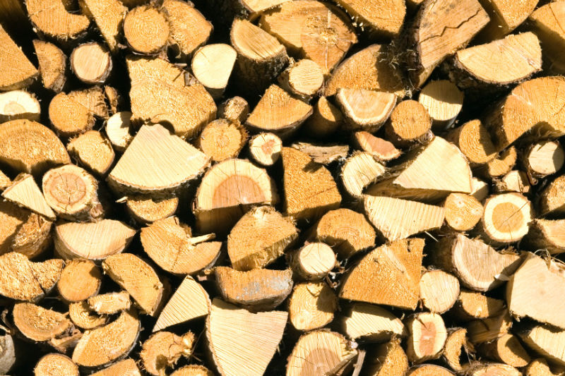Only Burn Seasoned Firewood