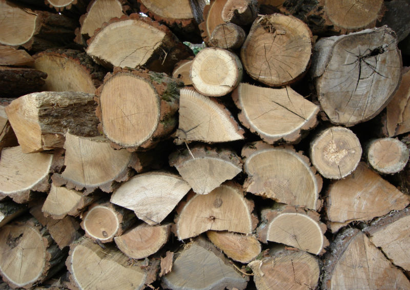 Properly season your firewood